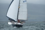 bacchus 5015c whyw23 sun 750 0026